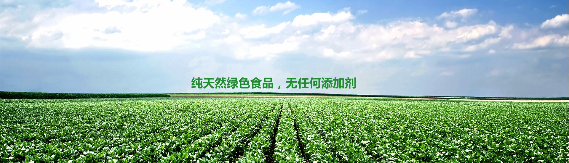 轮播